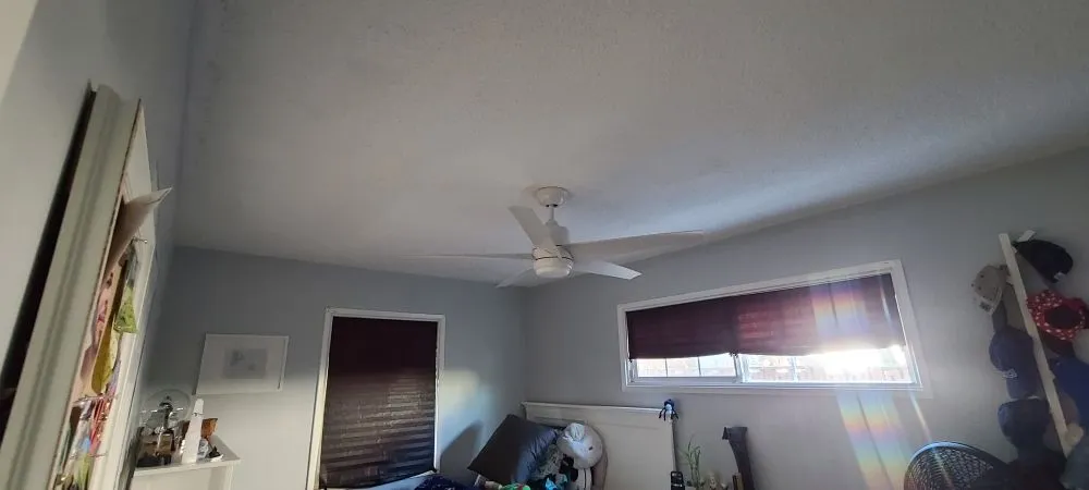 Slide of Bladis Electric