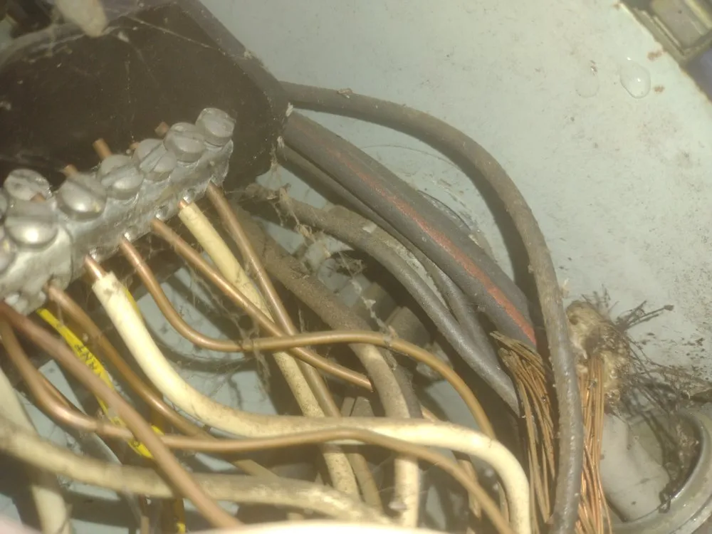 Slide of Blake's Electric