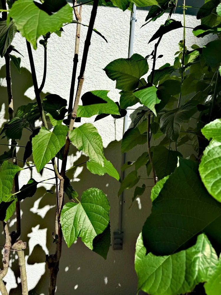 Reliable electrician providing electrical repair in , 