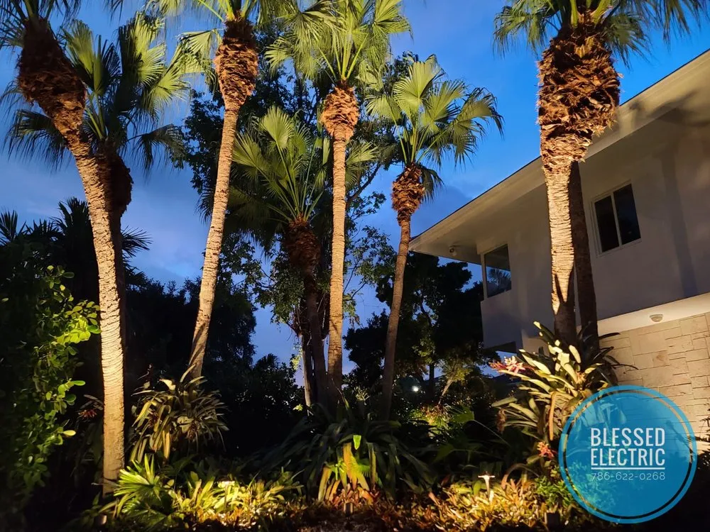 Slide of Blessed Electric