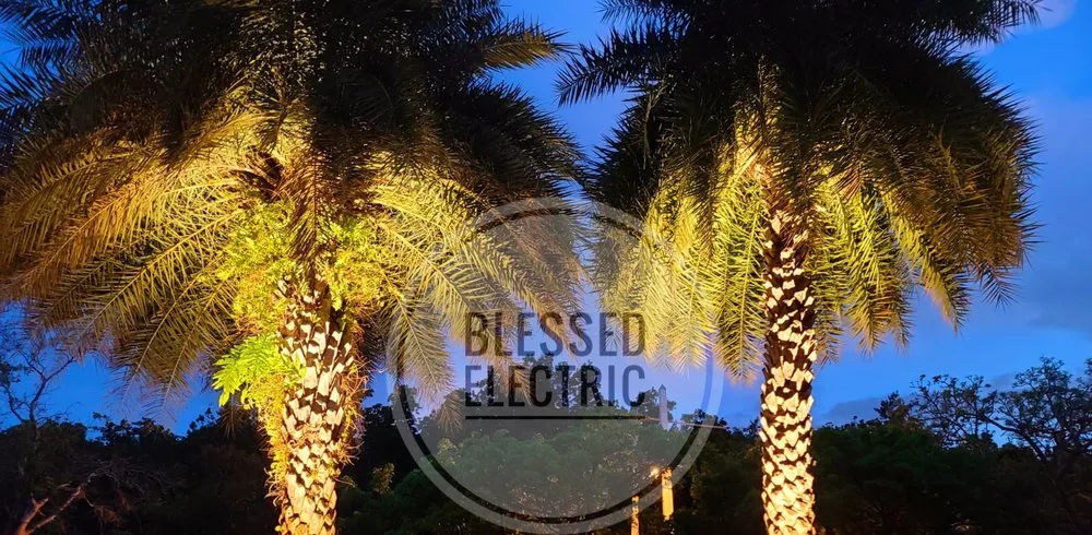 Slide of Blessed Electric