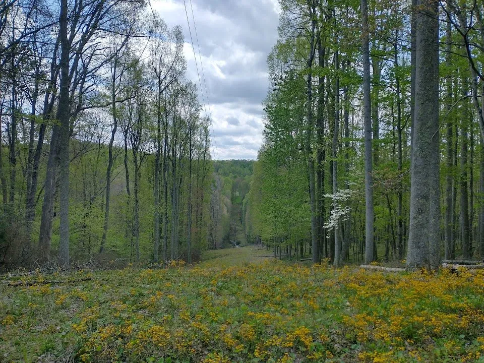 Slide of Blessed Hands