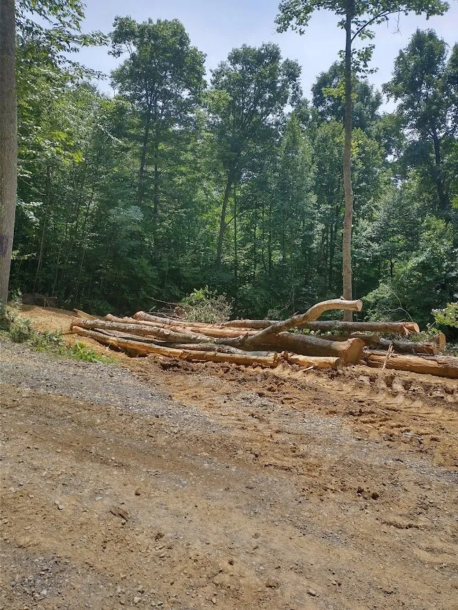 Slide of Blessed Hands