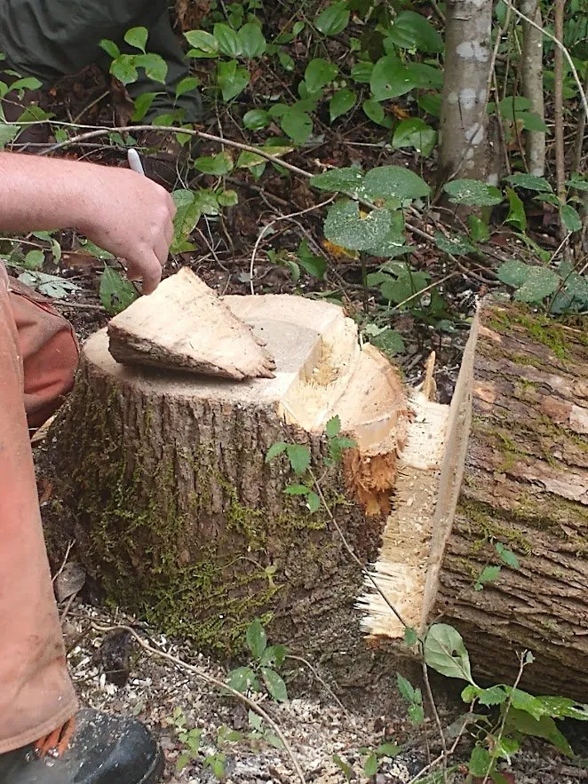 Affordable electrical repair experts serving , - Blessed Hands