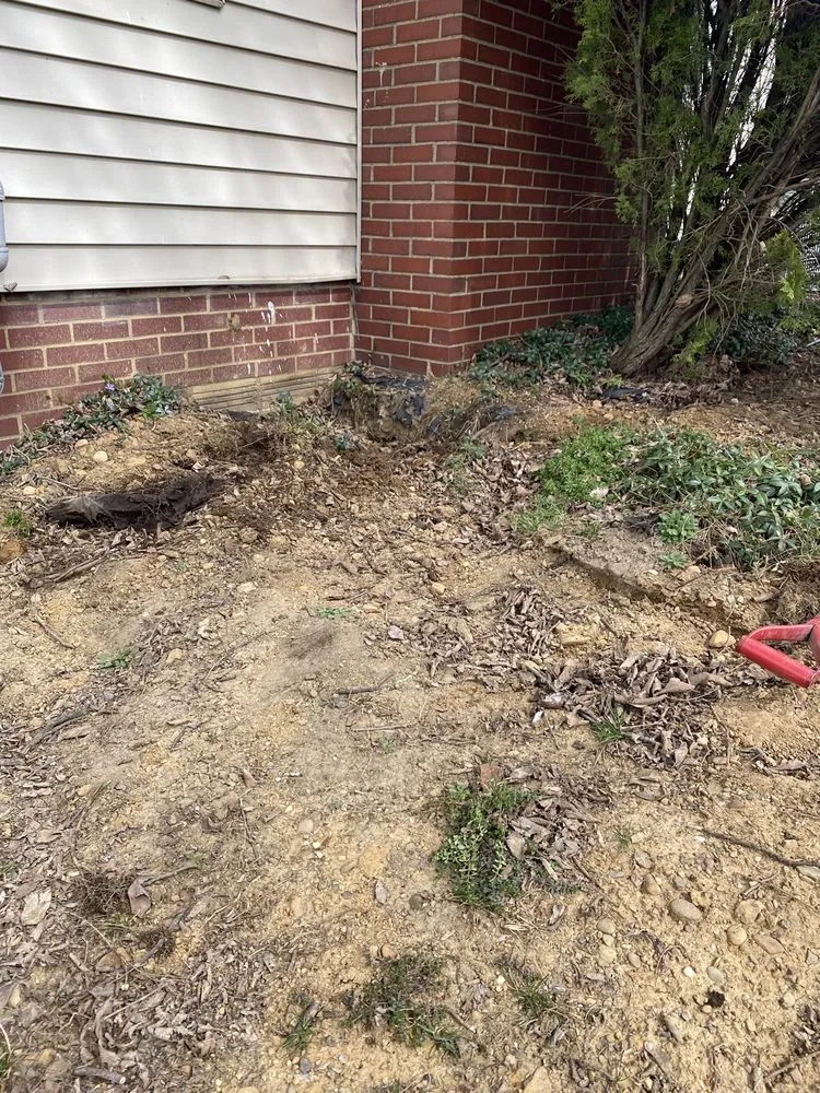 Slide of Blind & Sons