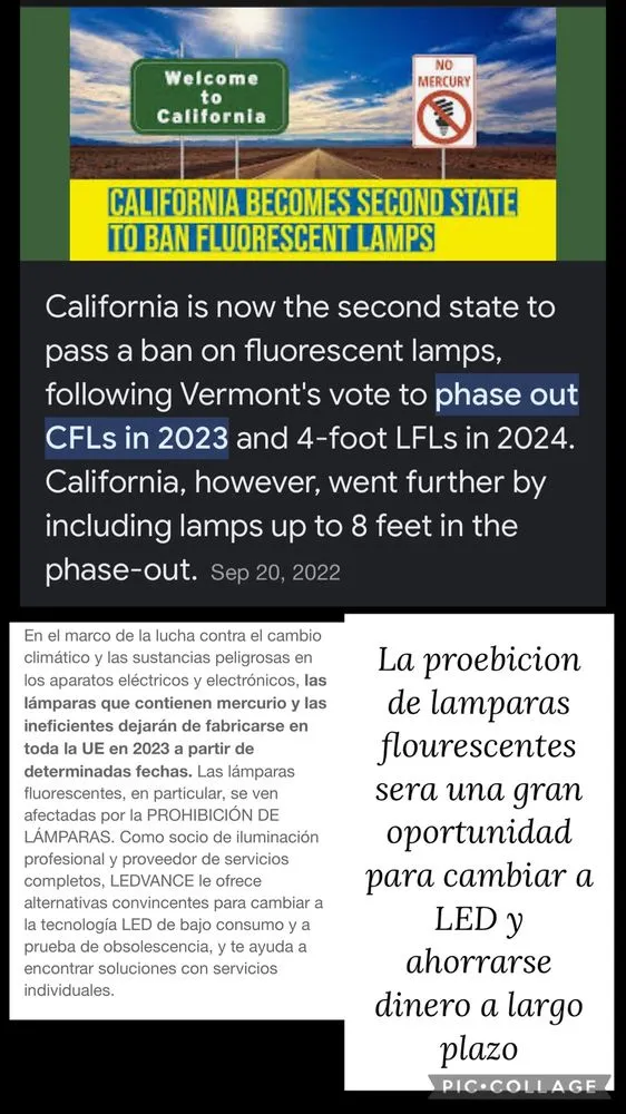 Slide of Blinking Bulb