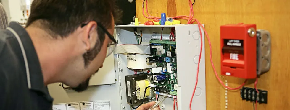 Slide of Bliss Electric