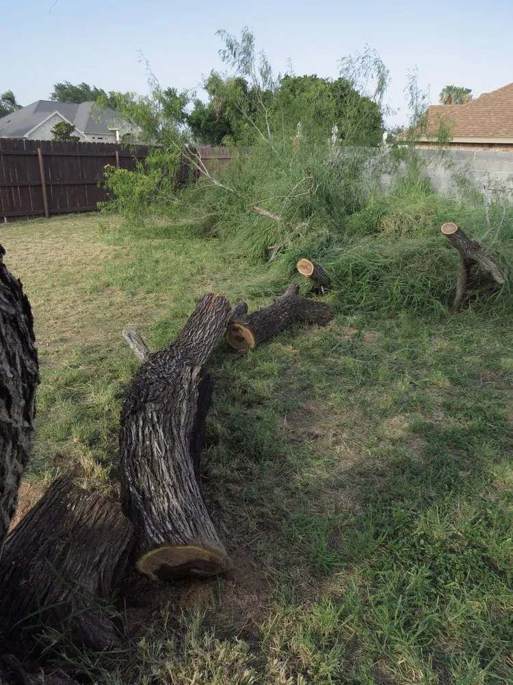 Slide of Blue Arc Solutions