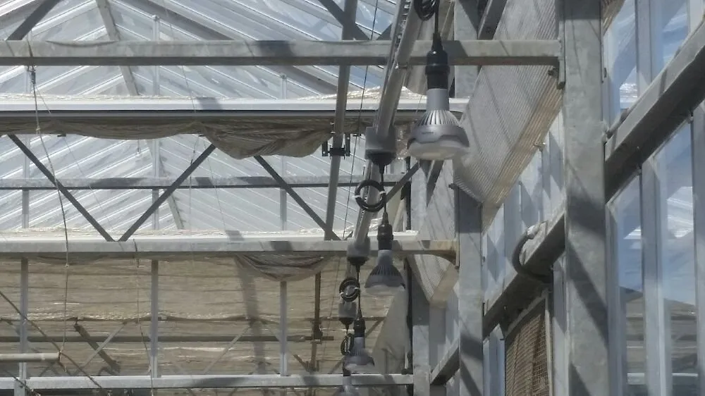 Slide of Blue Beagle Electric