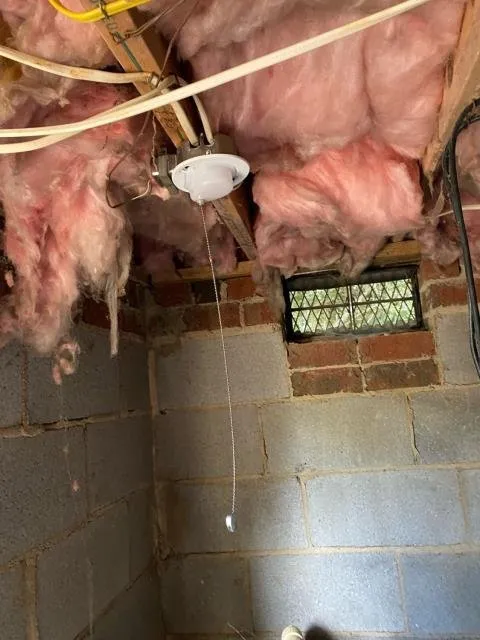 Slide of Blue Beagle Electric