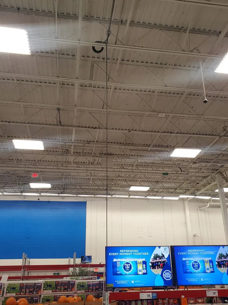 Slide of Blue Bear Electrical