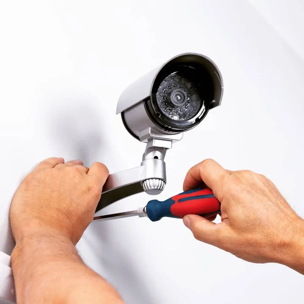 Slide of Blue Bird Electrical