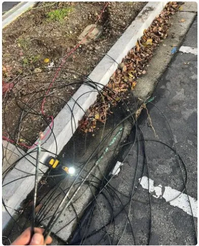 Slide of Blue Collar Electrical Services