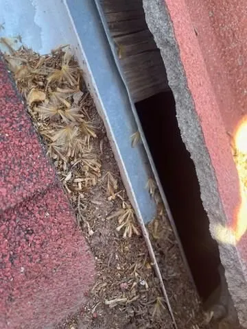 Certified electrical repair service in ,  - Blue Collar Electrical Services