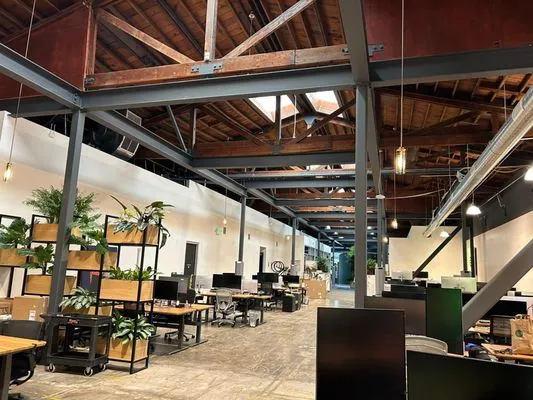 Blue Collar Electrical Services