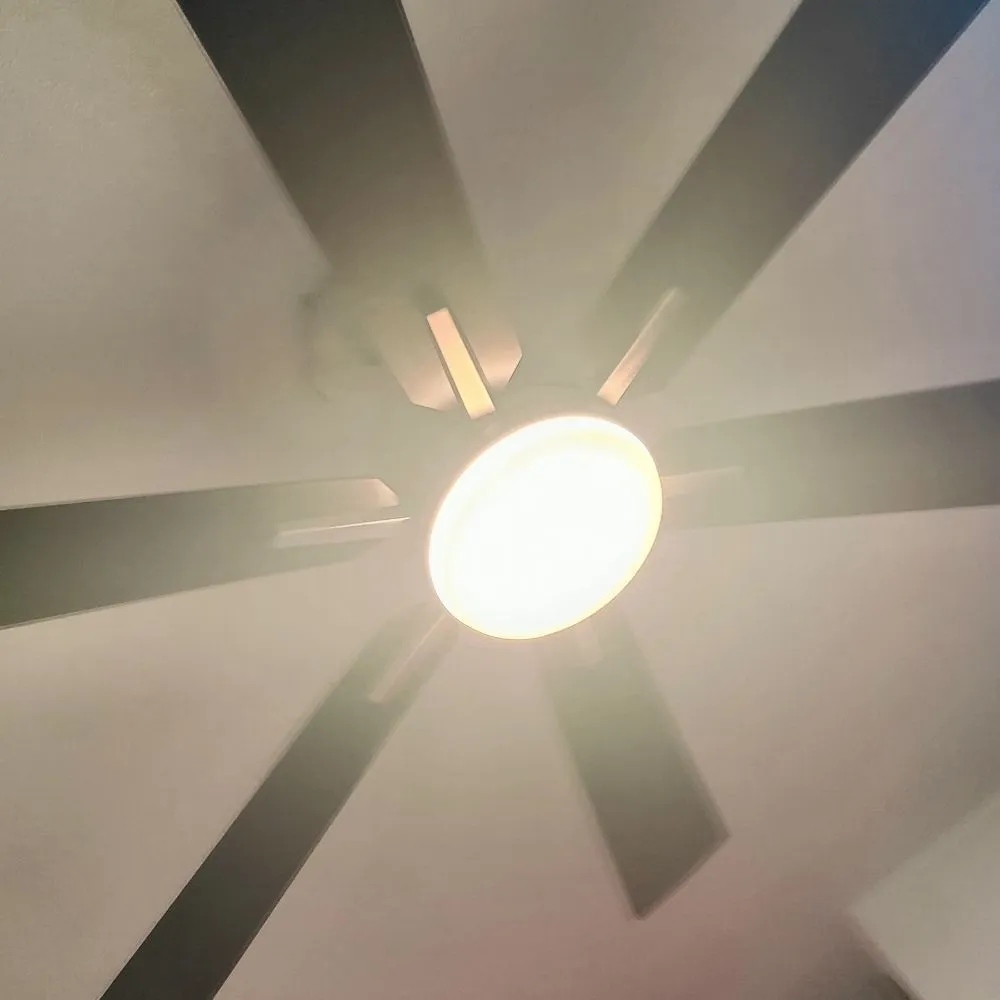 Slide of Blue Current