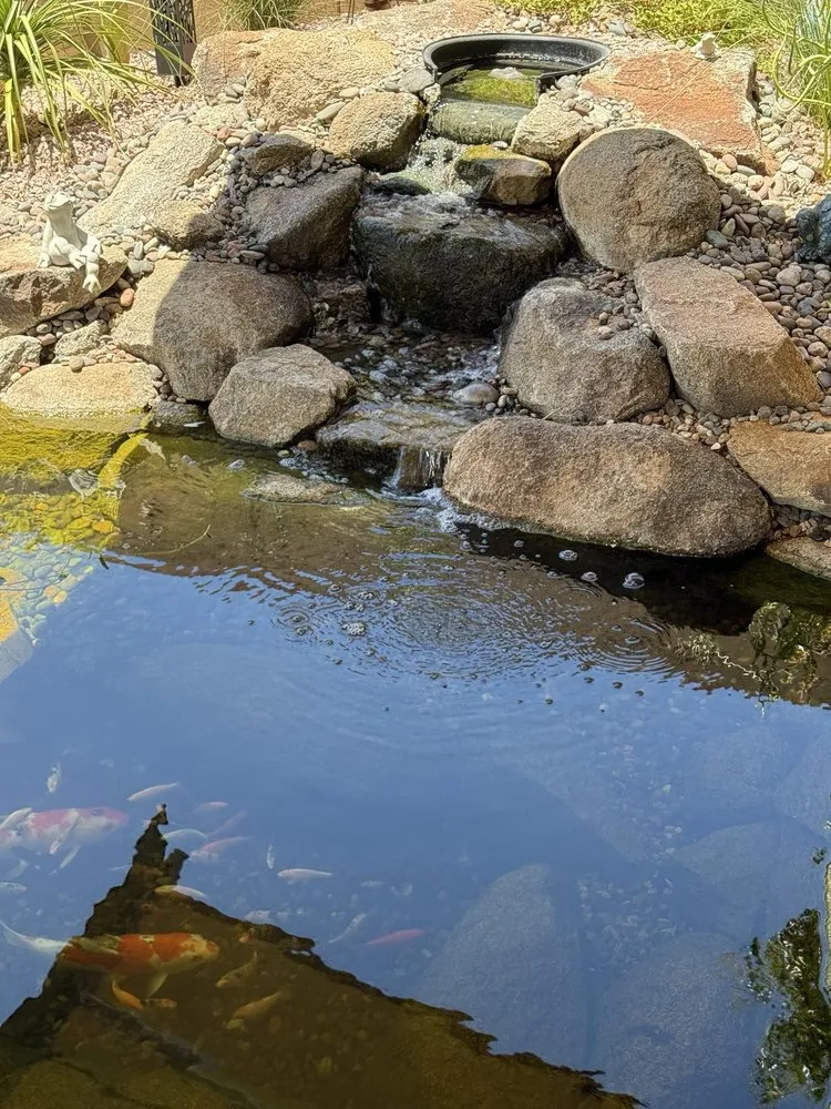 Slide of Blue Electric