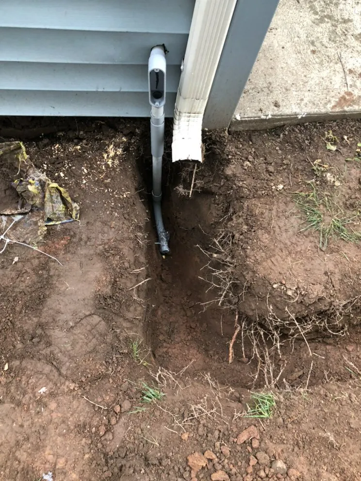 Slide of Blue Electric