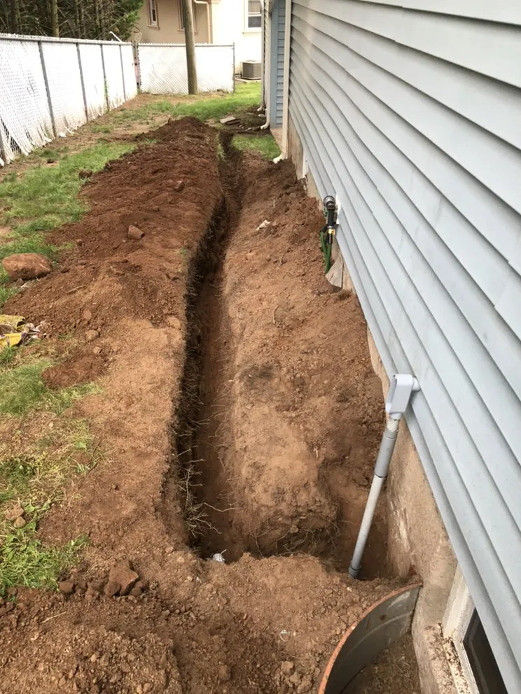 Slide of Blue Electric