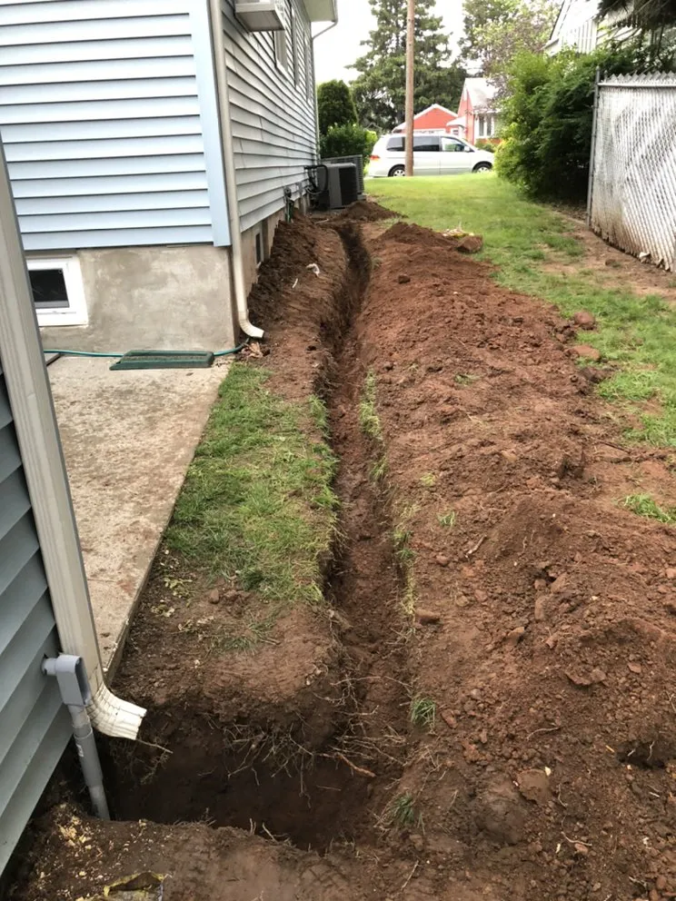 Slide of Blue Electric