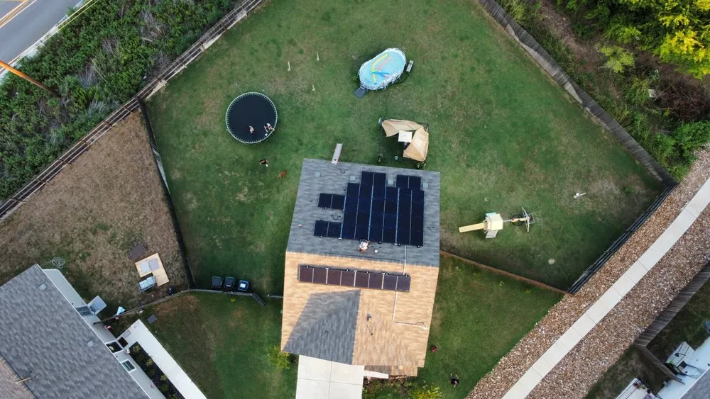 Slide of Blue Leaf Sol Gen