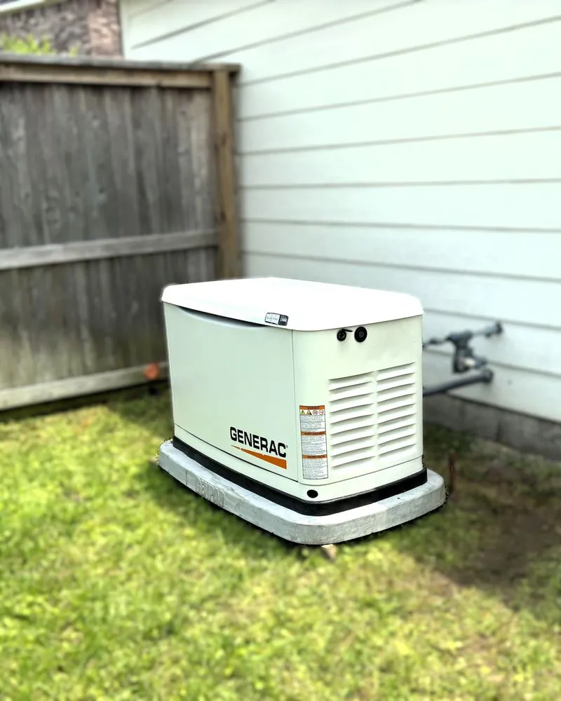 Slide of Blue Leaf Sol Gen