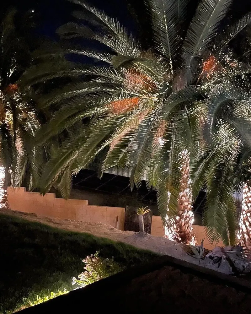 Expert lighting installation in ,  by Blue Moon Electrical Anaheim