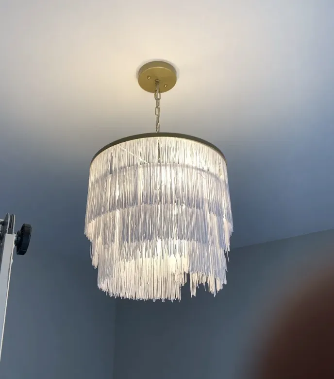 Slide of Blue Tiger Electric