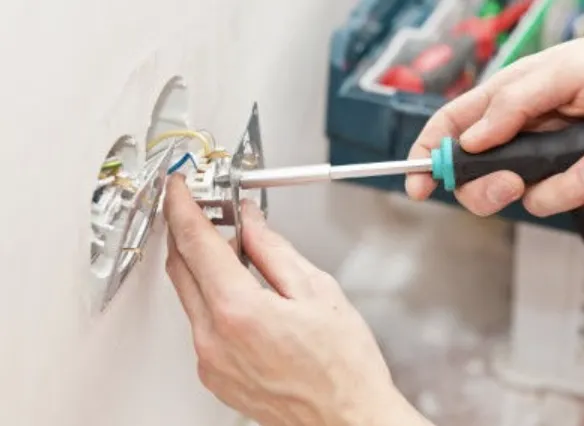 Slide of Blue Tiger Electric