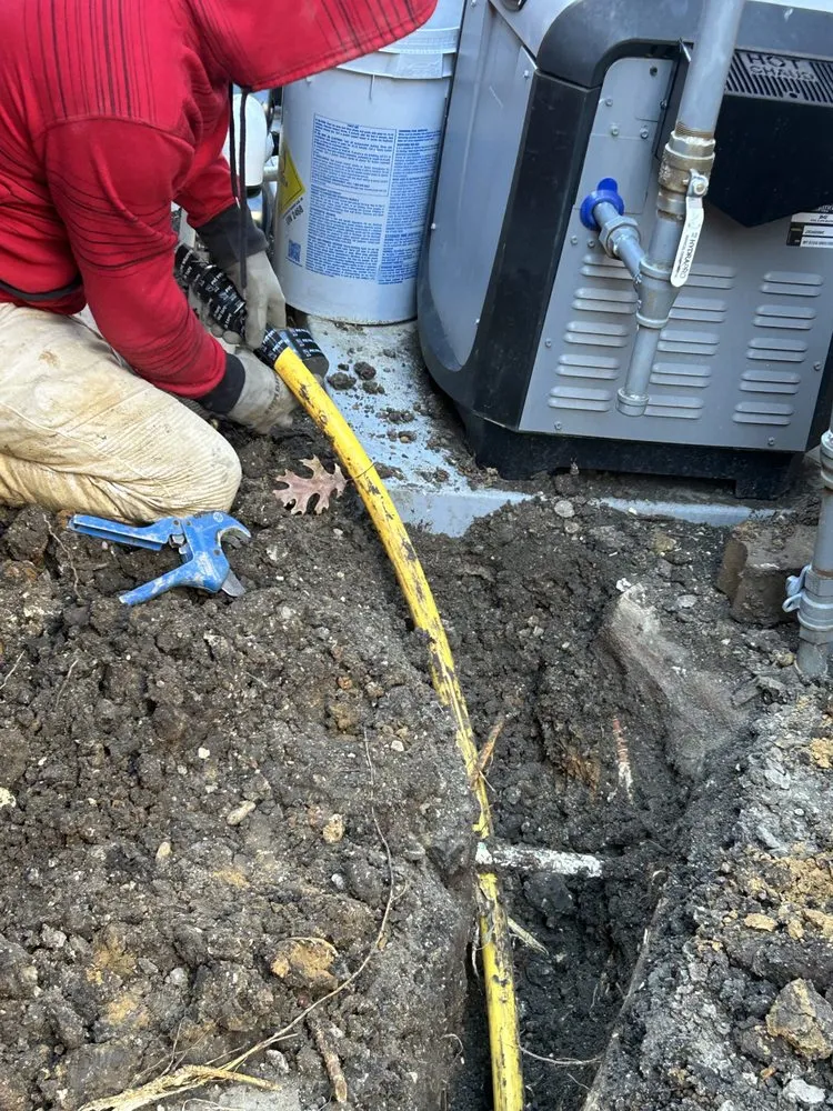 Slide of Bluebird Builders