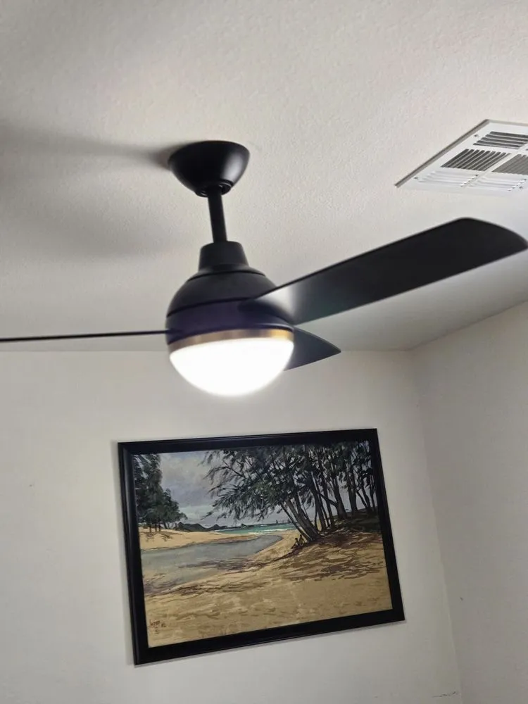 Slide of Bluebird Electric