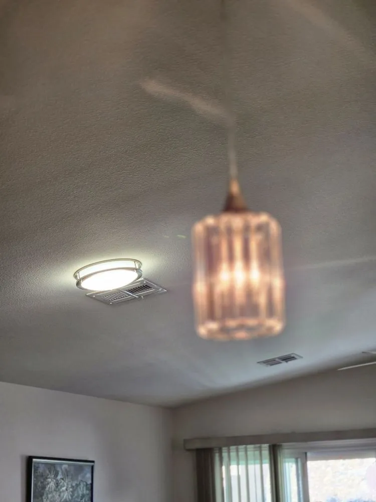 Slide of Bluebird Electric