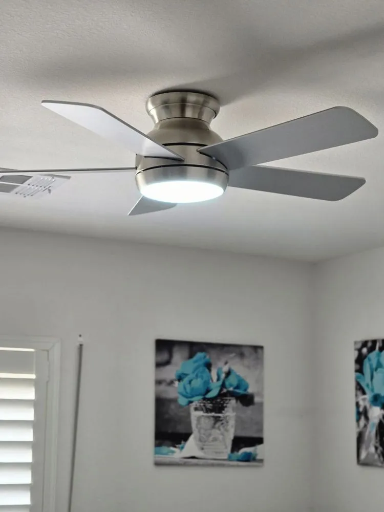 Slide of Bluebird Electric