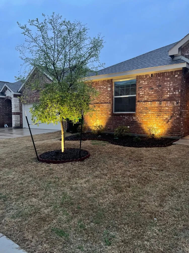 Slide of Bluejay Electric