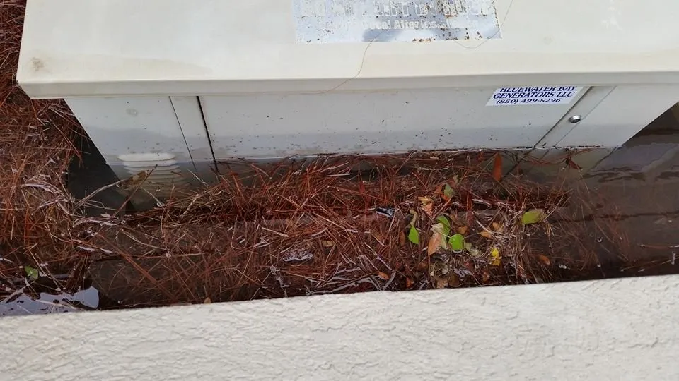 Professional electrician providing wiring installation in , 