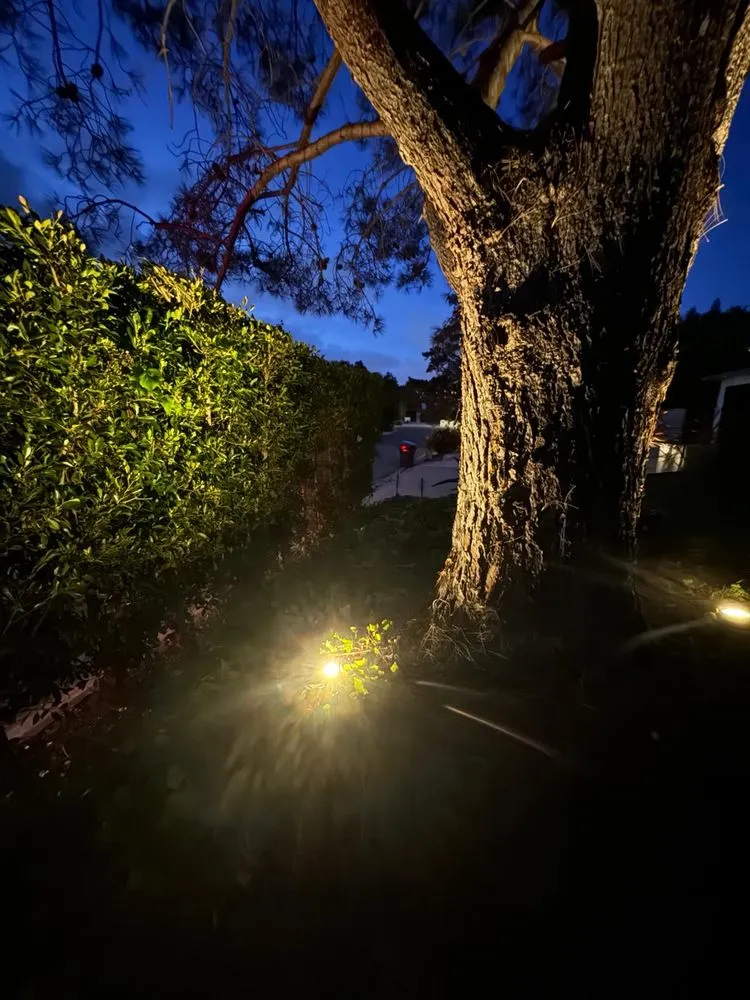 Slide of Bmj Electric