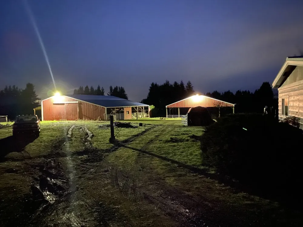 Emergency wiring installation in , by BNO Electrical Solutions