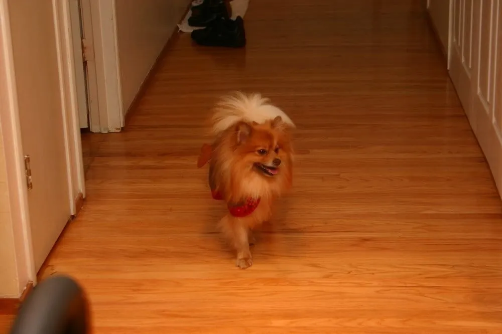 Slide of Boaz Electric