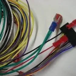 Slide of Bob Diggory Electric