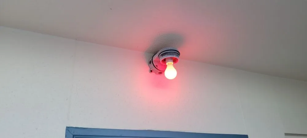 Slide of Boca Generator