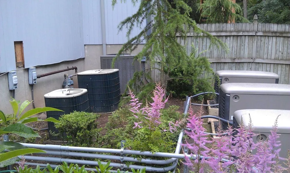 Slide of Bold Electric