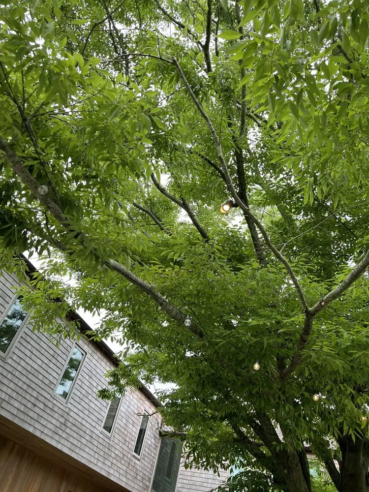 Slide of Bonilla Electric