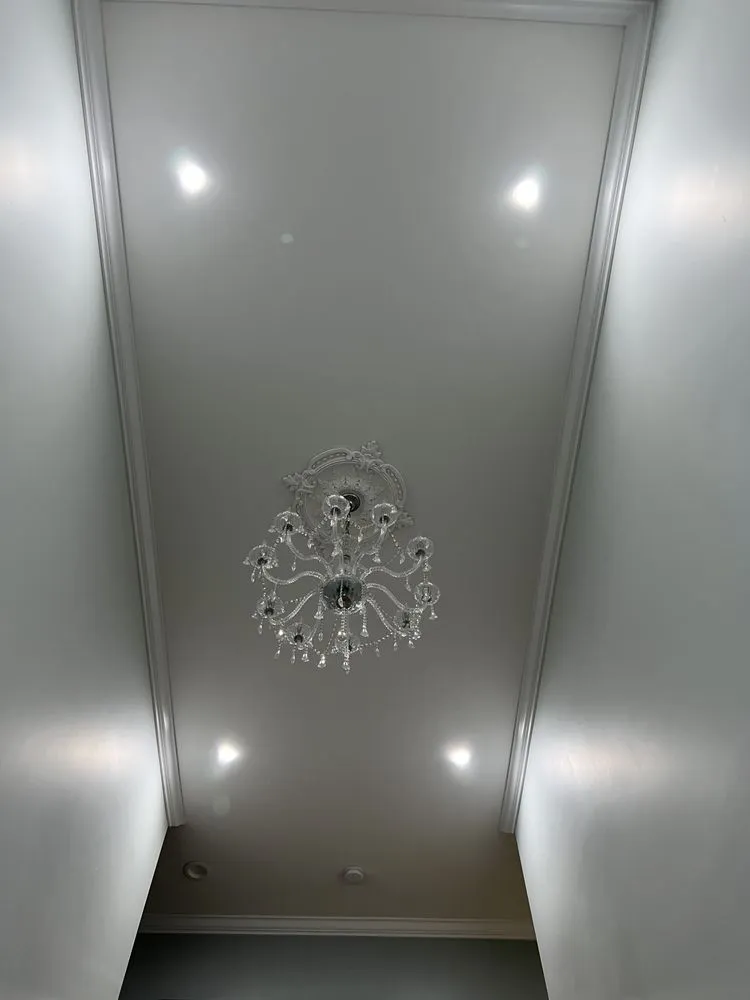 Professional electrical service for homes in panel upgrade, by