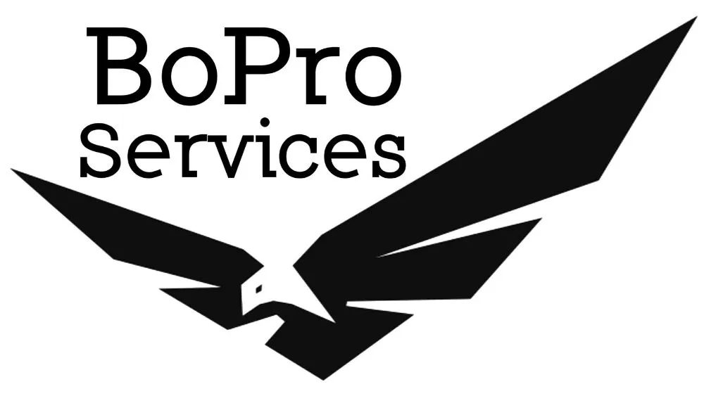 Slide of BoPro Services
