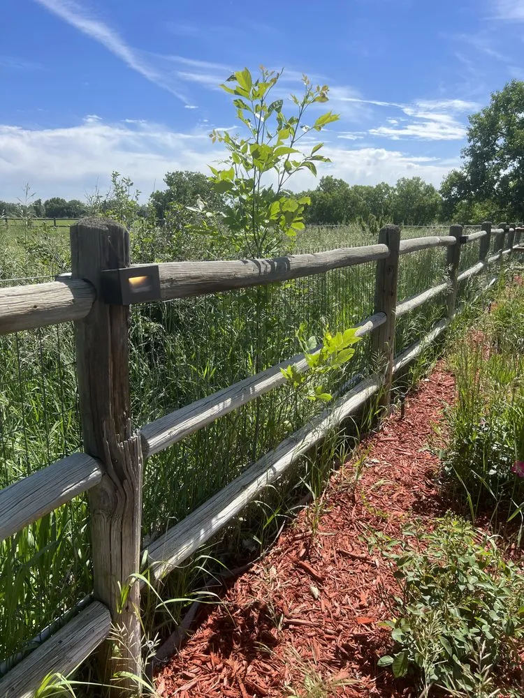 Slide of Bornschein Electric