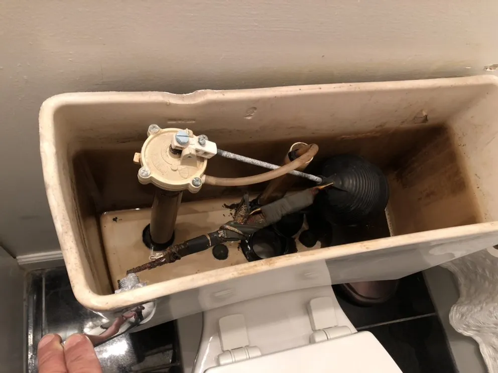 Slide of Boston Paint Brush