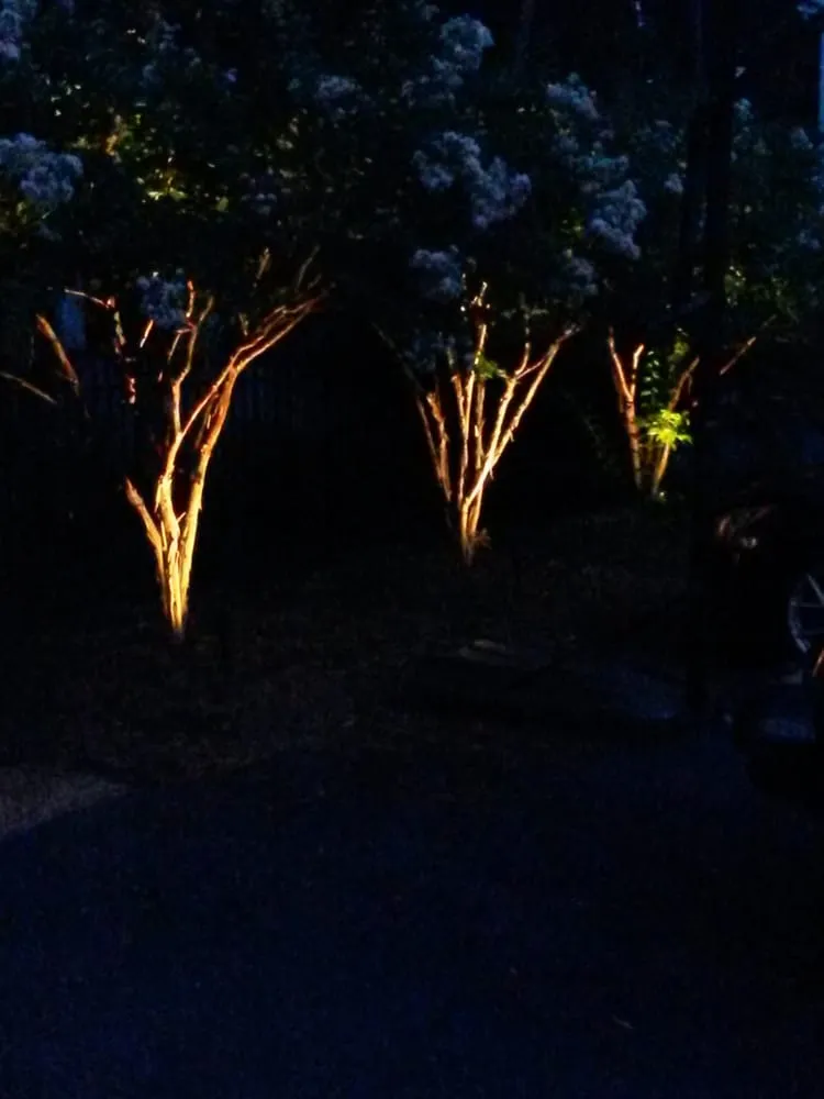 Slide of Bothwell Electrical Contractors