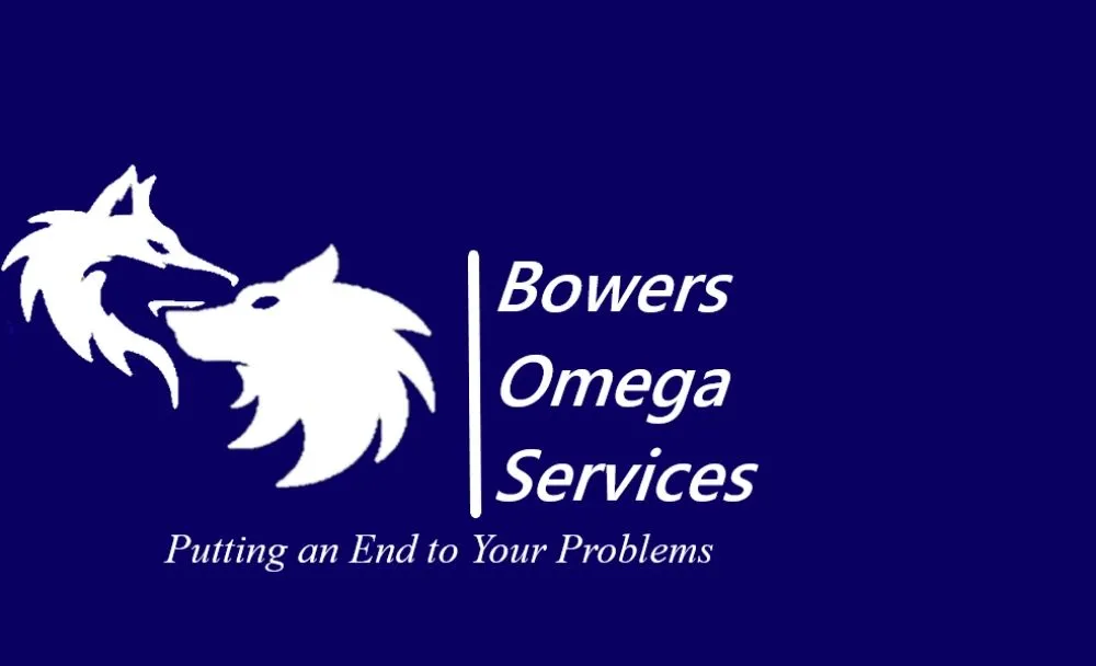 Slide of Bowers Omega Services
