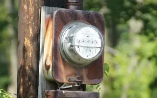 Slide of Boxwood Restoration Company