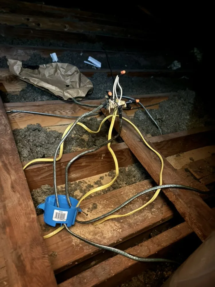 Professional electrical service for homes in lighting installation, by